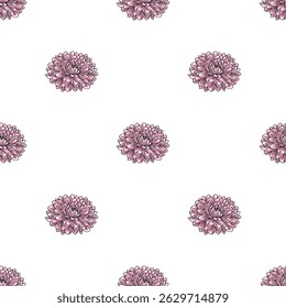Seamless vector pattern of delicate pink chrysanthemum flowers on a white background, perfect for feminine designs and spring-themed projects.