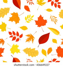 Seamless vector pattern of different autumn leaves on a white background. Elements for autumn design. Golden autumn. Beautiful autumn background.