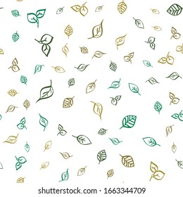 Seamless vector Pattern with different leaves. Floral decoration.