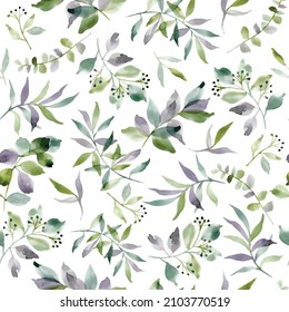 Seamless vector pattern with different types of eucalyptus on white background