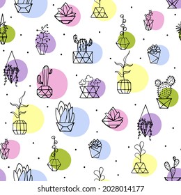 Seamless vector pattern. Doodle plants with color circles. Hand-drawn leaves, succulent, herbs, cactus with interior poly faceted flower pot. Home cozy plants decor isolated on dot white background