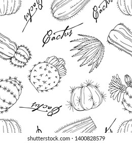 Seamless vector pattern of elements with hand drawn cacti and succulents on a white background. Ornament in sketch style