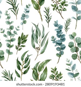 Seamless vector pattern with eucalyptus branches isolated on a changeable background. Vintage painting style illustration.