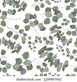 Seamless vector pattern. Eucalyptus on white background 