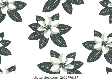 Seamless vector pattern featuring dark green leaves and cream frangipani flowers on a white background, perfect for elegant tropical designs.