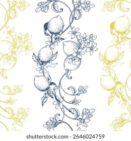 Padrão de vetor sem costura com ramos de limão desenhados à mão com folhas e flores. Estilo de arte de linha, perfeito para tecido, embalagem, papéis de parede, papelaria e desenhos com temas de cozinha. Totalmente editável