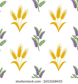 Padrão de vetor sem costura com hastes de trigo dourado estilizado e flores de ervilhaca tufado roxo em um fundo branco, criando um design rústico, mas elegante.