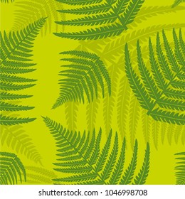 Seamless vector pattern with fern leaves