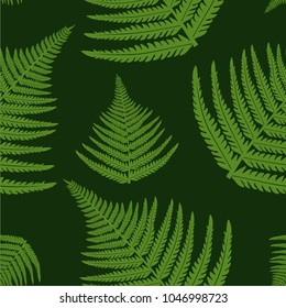 Seamless vector pattern with fern leaves