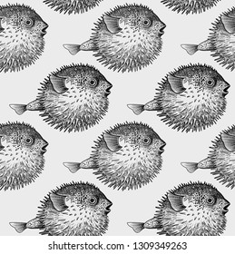 Seamless vector pattern with fish hedgehog under water. Sea bottom and animals. Vintage engraving art. Hand drawing sketch. Kitchen design with seafood for paper, fabrics, wallpaper. Black and white