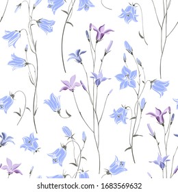 Seamless vector pattern with with flowers campanula on white. Nature background.