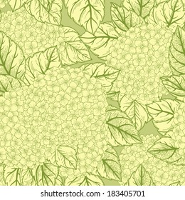 Seamless vector pattern with flowers hydrangeas. 