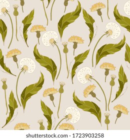 Seamless vector pattern with flowers, inflorescence and leaves of dandelions on a light beige, cream background. Square repeating template for fabric and wallpaper. Hand-drawn illustration.