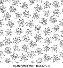 Seamless vector pattern with  flowers on white. Floral abstract background. Perfect for design templates,  wallpaper, wrapping, fabric and textile. Black and white. Outline.