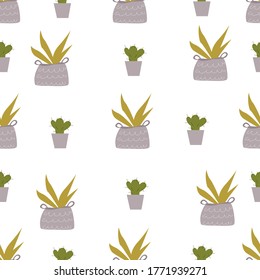 Seamless vector pattern with flowers in pots, cacti, succulents, plants.