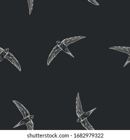 Seamless vector pattern with flying swallows, swifts. Doodle dark background with birds