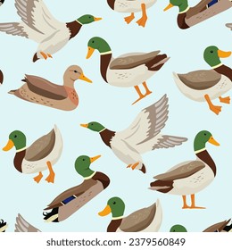 Seamless vector pattern with flying and swimming ducks. Vector flat illustrations pond bird on blue background