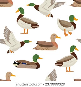 Seamless vector pattern with flying and swimming ducks. Vector flat illustrations pond bird on white background