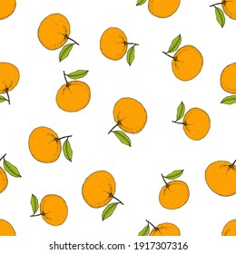 Seamless vector pattern with fresh ripe grapefruit. Hand drawn vector illustration