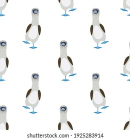 Patrón vectorial sin mar de gannets pájaro con pies azules