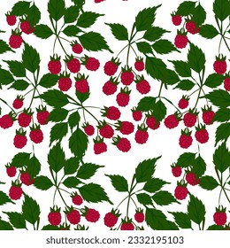 Seamless vector pattern. Garden of raspberries