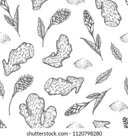 Seamless vector pattern of ginger roots and flowers. Hand drawn . Engraved spicy vegetable. Food ingredient, aromatherapy, cooking. Good for cosmetics, medicine, treating, package design, skincare.