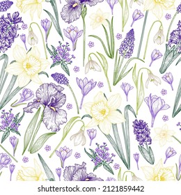 Seamless vector pattern with graphic colored linear primrose flowers. Snowdrops, irises, hyacinths, muscari, crocuses, daffodils, brunner