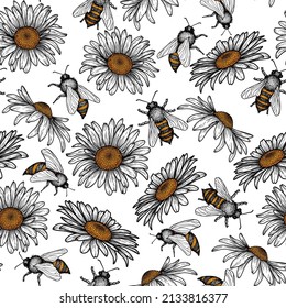 Seamless vector pattern with graphic linear bees and daisy flowers in engraving style