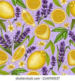 Patrón vectorial sin soldadura limones de color lineal gráfico, flores de lavanda y plumería, y hojas sobre fondo morado en estilo grabado