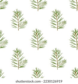 Seamless vector pattern with green pine branches on a white background, grunge, texture. Vector cute illustration. Beautiful wrapper, postcard.