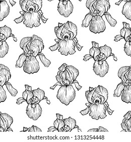 Seamless vector pattern with hand drawn outlined irises on white background. Beautiful spring texture. 