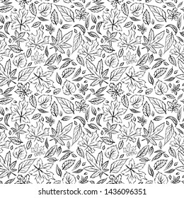 Seamless vector pattern with hand drawn autumn leaves inky outlines