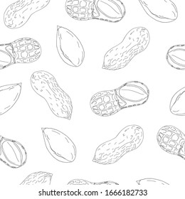 Seamless vector pattern of hand drawn black line peanuts on white background. Design for nut chocolate, peanut butter and nut products packaging