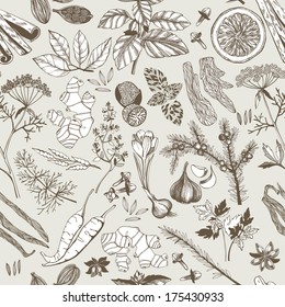 Seamless vector pattern with hand drawn spices and herbs. Decorative vintage background.