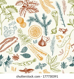 Seamless vector pattern with hand drawn spices and herbs. Decorative colorfull background.