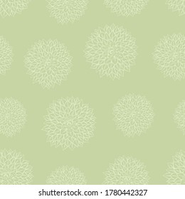 Seamless vector pattern of hand drawn echeveria plants on green background