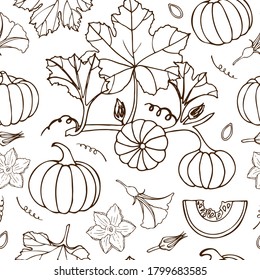 Seamless vector pattern with hand drawn pumpkins.