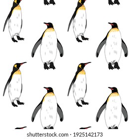 Seamless vector pattern with hand drawn Emperor penguins