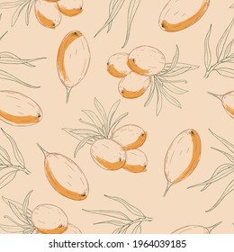 Seamless vector pattern of hand drawn sea buckthorn berries on light peach color. Design for herbal tea or natural products packaging 