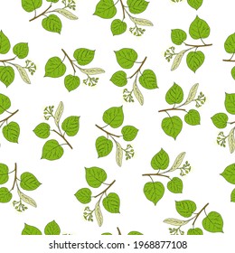 Seamless vector pattern with hand drawn linden tree branches