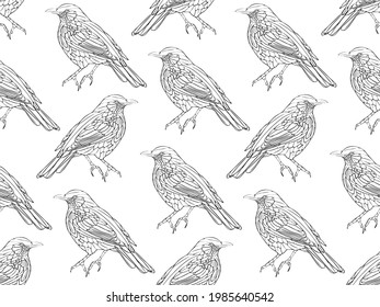 Seamless vector pattern with hand drawn black and white birds