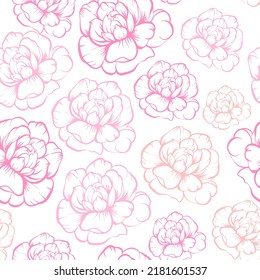 Seamless vector pattern, hand drawn outline pink Peony flowers on white background.