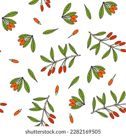 Seamless vector pattern with hand drawn Goji berry or Chinese wolfberry, medicinal plant. Vector illustration