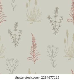 Seamless vector pattern with hand drawn edible herbs and medicinal plants. Vector illustration