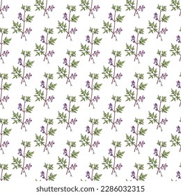 Seamless vector pattern with hand drawn Japanese peppervine (Ampelopsis japonica), medicinal plant, Vector illustration