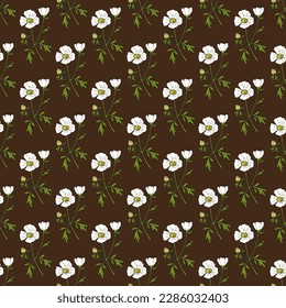 Seamless vector pattern with hand drawn Coulters Matilija poppy (Romneya coulteri), ornamental and medicinal plant, Vector illustration