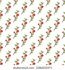 Seamless vector pattern with hand drawn Japanese quince (Chaenomeles japonica), medicinal plant, Vector illustration