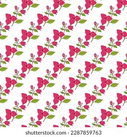 Seamless vector pattern with hand drawn bougainvillea, medicinal and ornamental plant. Vector illustration