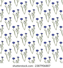 Seamless vector pattern with hand drawn Cornflower (Centaurea cyanus), medicinal and honey plant. Vector illustration