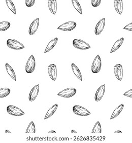 Seamless vector pattern with hand drawn ink minlala nuts. Template for food, drink label design.